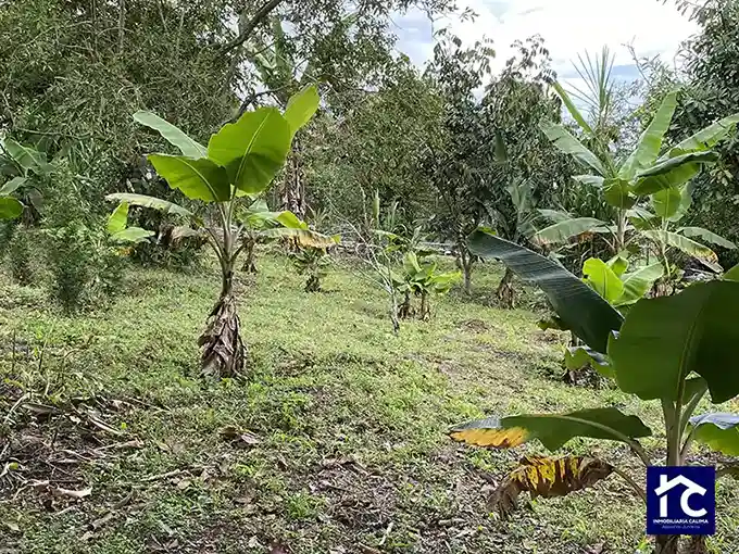 San José lote 2b Urbanización California